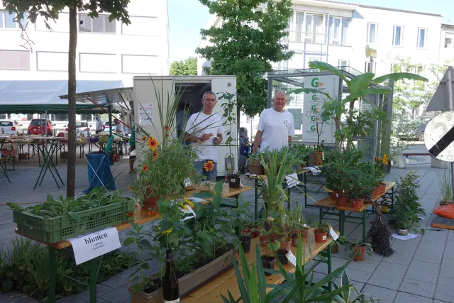 Eindrücke vom Benefiz-Flohmarkt im Jahr 2022. | Foto: Oö. Kameradschaftsbund St. Georgen/Gusen