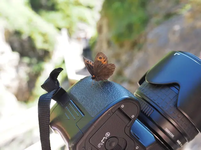 Freundlicher Wegbegleiter.