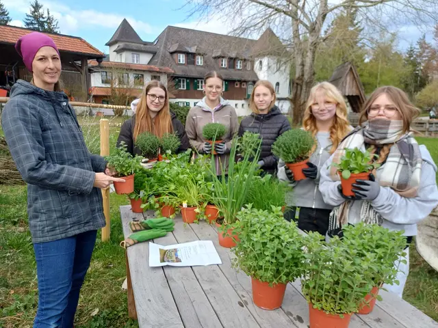 Die Schülerinnen legten ein Hochbeet mit Kräuterin im Pflegeheim Waldhaus an. | Foto: FS Maria Lankowitz