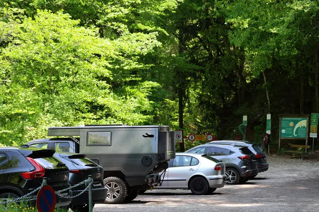 Zahlreiche Wanderer haben am Eingang der Glasenbachklamm geparkt. | Foto: Maria Tiefenbacher-Schöndorfer, 2023