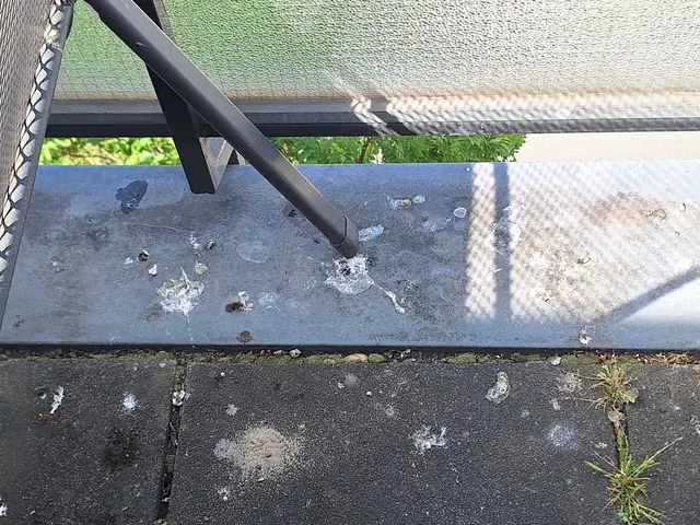 Tauben wohnen in einem leerstehenden Gebäude gegenüber. Navratils Balkon wird von den Tauben heimgesucht und verdreckt.  | Foto: Navratil