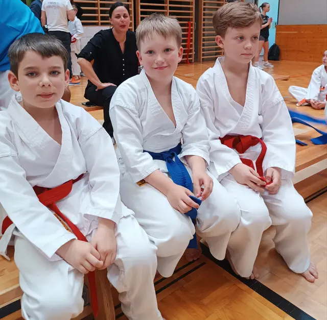 Theodor Haider, Fynn Darabos und Paul Leeb. | Foto: Frieways Karate Klub