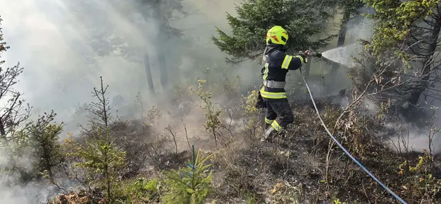 Der Waldbrand in der St. Wolfganger Ortschaft Radau konnte erfolgreich gelöscht werden.