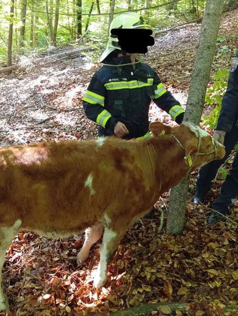 Foto: Freiwillige Feuerwehr Kötschach-Mauthen
