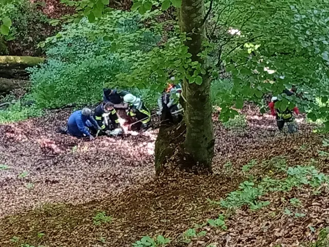 Foto: Freiwillige Feuerwehr Kötschach-Mauthen