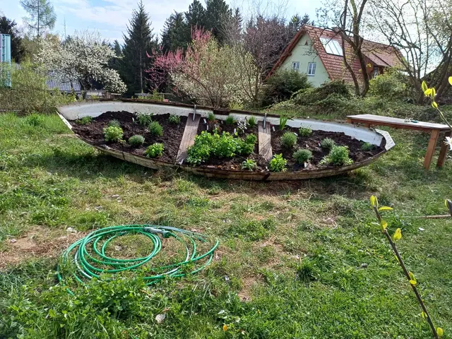 Ein perfektes Hochbeet in einem aufgelassenen Boot in Edelschrott | Foto: FS Maria Lankowitz