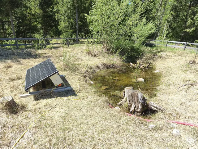 PV-Pumpe hält Amphibienteiche nass