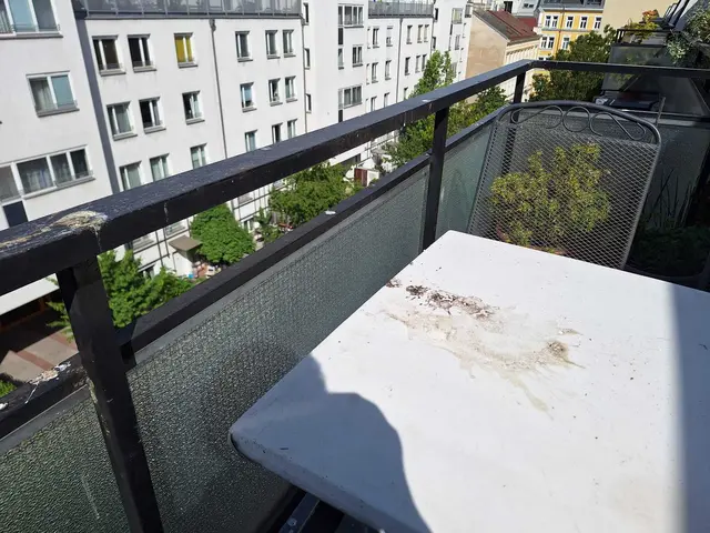 Navratils Balkon leidet unter der Taubeninvasion. | Foto: Navratil