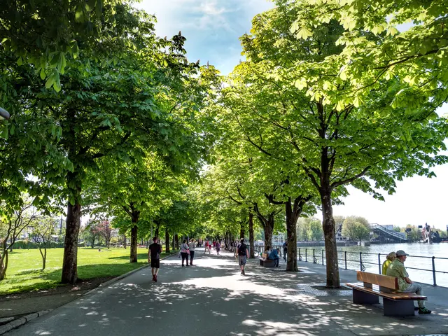 Seeanlage Bodensee Bregenz - Bregenz ist grünste Landeshauptstadt
 | Foto: Christiane Setz