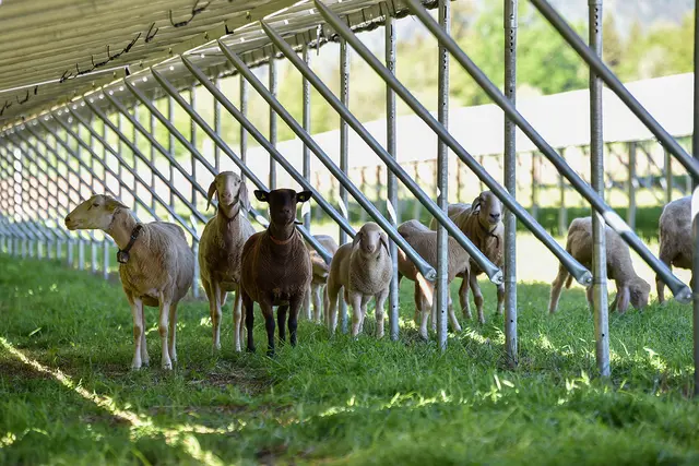 Foto: HSH Energieconsulting GmbH