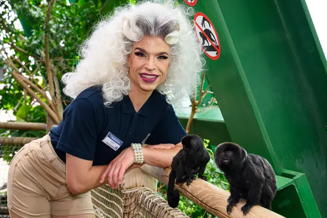 Im Haus des Meeres trifft Glamour auf die faszinierende Tierwelt