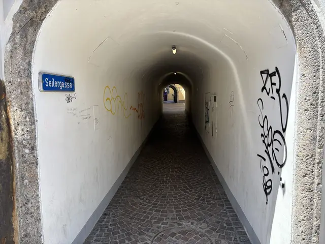 Die Seilergasse ist seit Jahren Ziel von illegalen Sprayern. | Foto: MeinBezirk.at