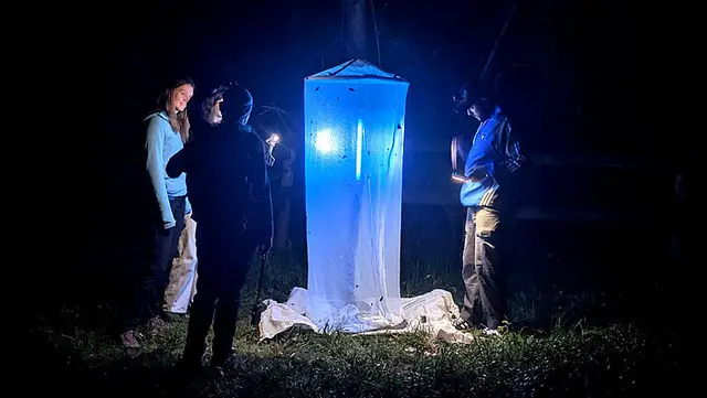 Lichtfallen mit UV-Lampen sind wichtige Hilfsmittel, die nachtaktive Insekten anlocken und deren Bestimmung ermöglichen. | Foto: Tobias Gratzer