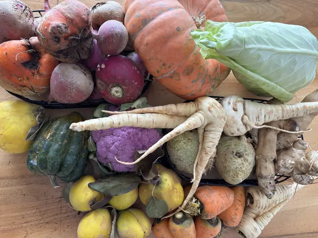 Obst, Gemüse und Milchprodukte sowie Fleisch gibt's in der Hernalser FoodCoop Rübezahl17. | Foto: MeinBezirk/Carmen Rienzner