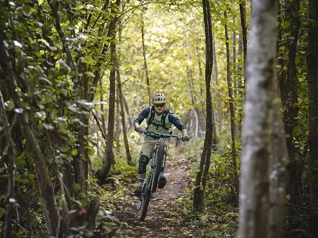 Die Bergbahnen Fieberbrunn und der TVB Pillerseetal entwickeln das bestehende Bike-Angebot bei den Lines &amp; Trails weiter. | Foto: Klaus Listl