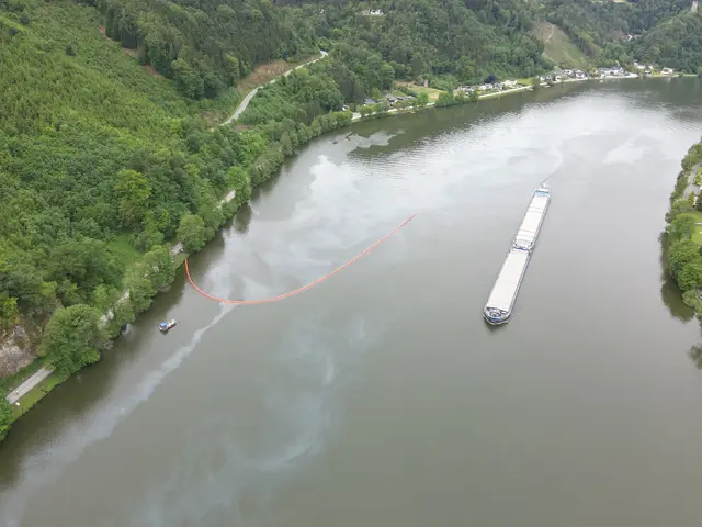 Drohenfoto vom Einsatz auf der Donau. | Foto: LPD NÖ