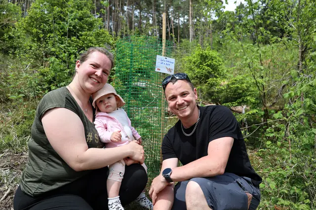Jeder Babybaum trägt den Namen eines neugeborenen Telfer Kindes. | Foto: MG Telfs/Hackl