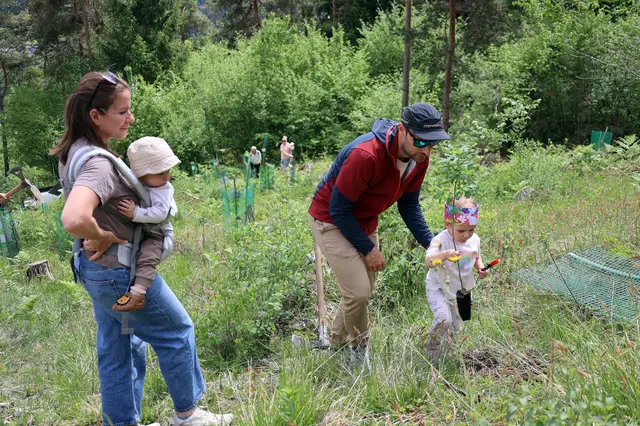 Gemeinsam Wachsen: Familien kamen für die beliebten Aktion „Babybaum“ am Wendelinus zusammen. | Foto: MG Telfs/Hackl