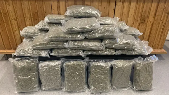 Die Beamten der Polizei sicherten rund 70 Kilogramm an Drogen - darunter auch mehr als 50 Kilogramm Marihuana.  | Foto: LPD Wien