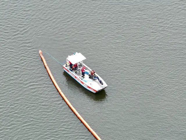 Drohnenaufnahme vom Einsatz auf der Donau. | Foto: LPD Nö