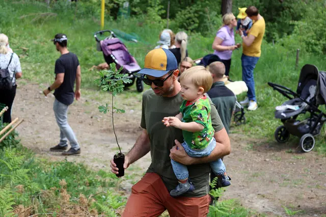 Zahlreiche Familien pflanzten beim Wendelinus die Babybäume. | Foto: MG Telfs/Hackl