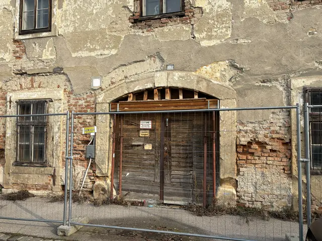 Laut der Baupolizei geht trotz des Verfalls keine Gefahr für Passantinnen und Passanten aus.  | Foto: Luca Arztmann/MeinBezirk