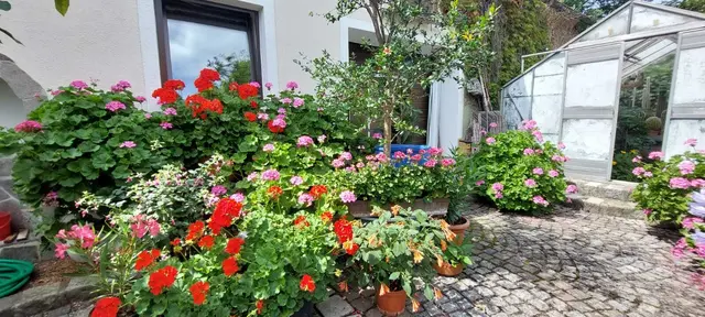 Riegler Klinger Anna und Johann, Königstetten NÖ.