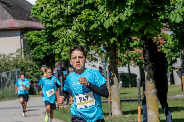 Foto: Hans Feitzinger