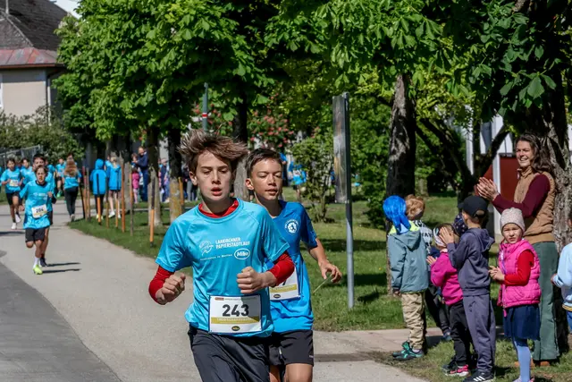 Foto: Hans Feitzinger