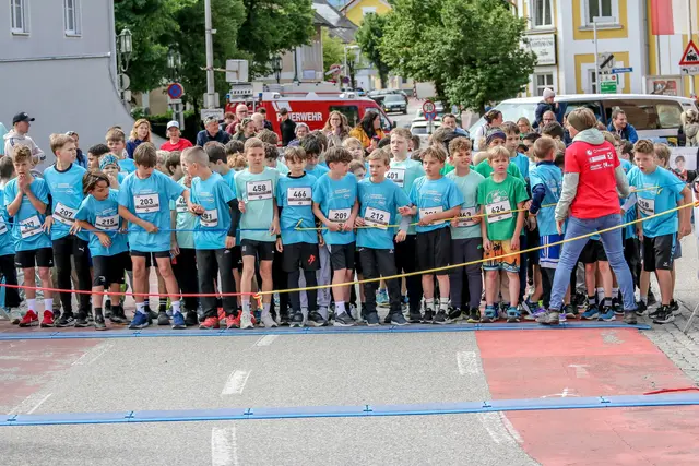 Foto: Hans Feitzinger