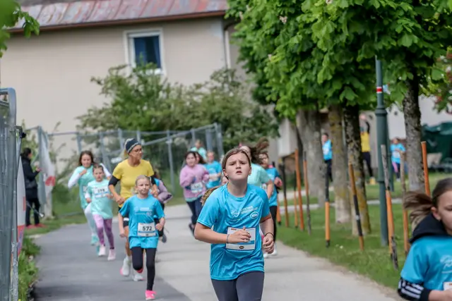 Foto: Hans Feitzinger