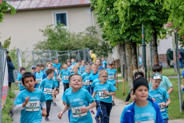 Foto: Hans Feitzinger