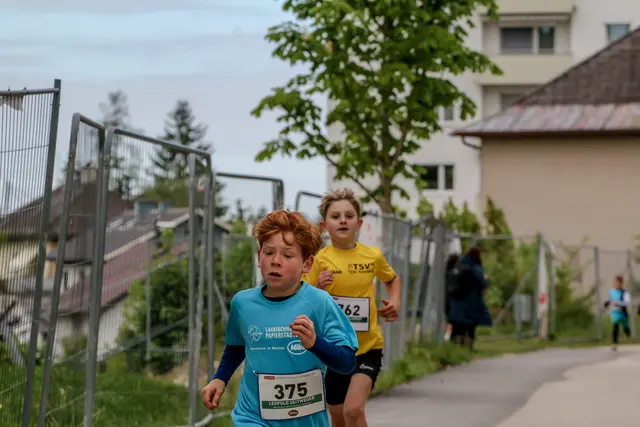 Foto: Hans Feitzinger