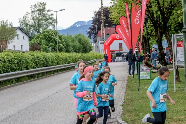 Foto: Hans Feitzinger