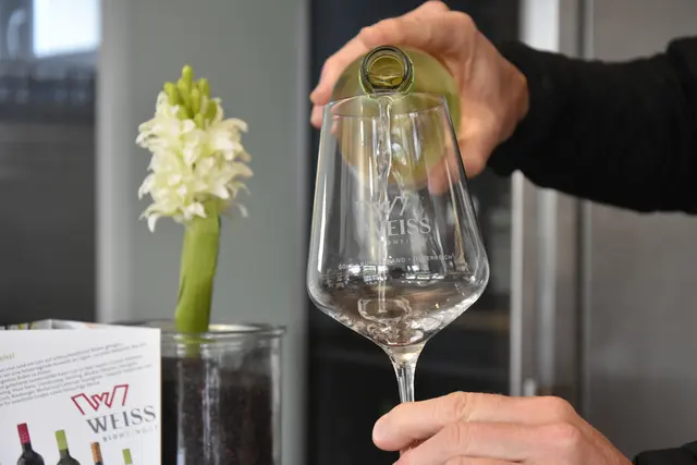 Der Golser Winzer produziert jedoch nicht nur alkoholreduzierten Wein. Er ermöglicht es auch Allergikern, Wein zu genießen.  | Foto: Julia Lirsch / MeinBezirk
