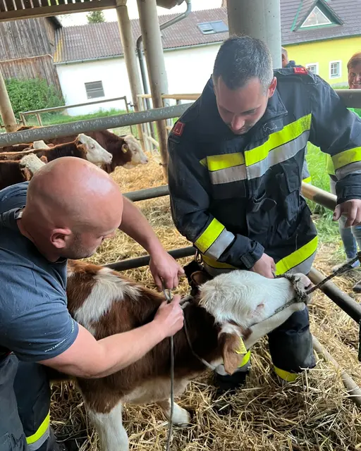Bei der Tierrettung ist auch Körperkraft gefragt. | Foto: FF Gastern