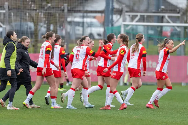 Die Bullen aus Salzburg schafften den Einzug ins Finale in ihrem ersten Anlauf.  | Foto: APA-Images / APA / EXPA