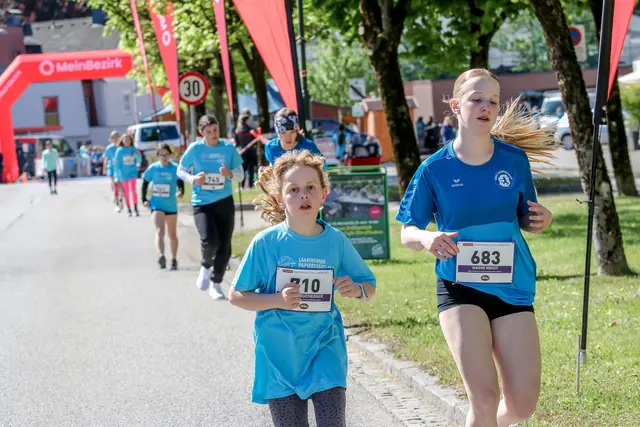 Foto: Hans Feitzinger
