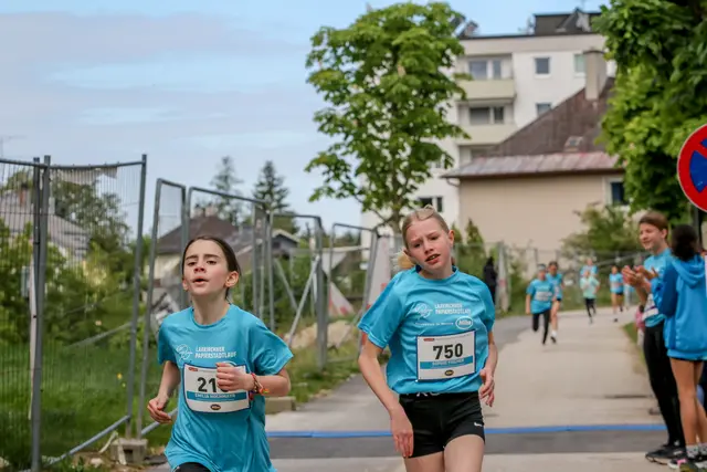 Foto: Hans Feitzinger