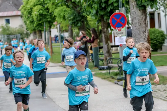 Foto: Hans Feitzinger