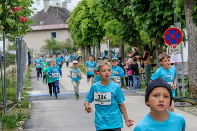 Foto: Hans Feitzinger