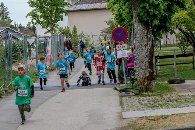 Foto: Hans Feitzinger