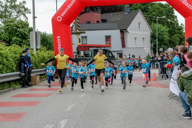 Foto: Hans Feitzinger