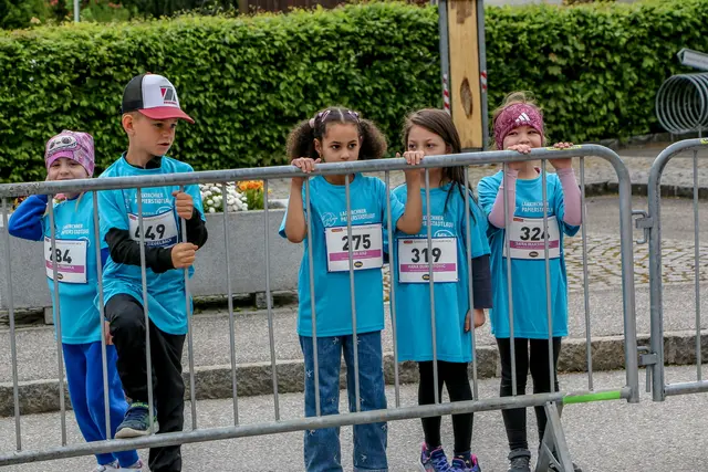 Foto: Hans Feitzinger