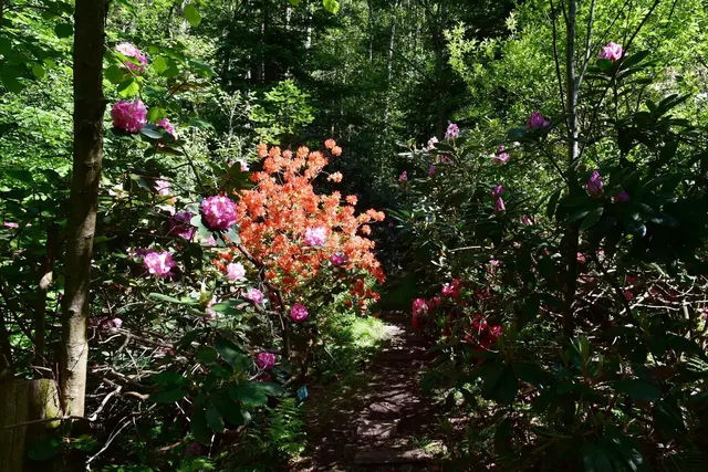 Ein Rundgang durch das Arboretum in St. Roman. | Foto: Alois Braid