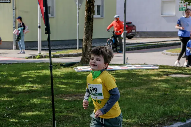 Foto: Hans Feitzinger