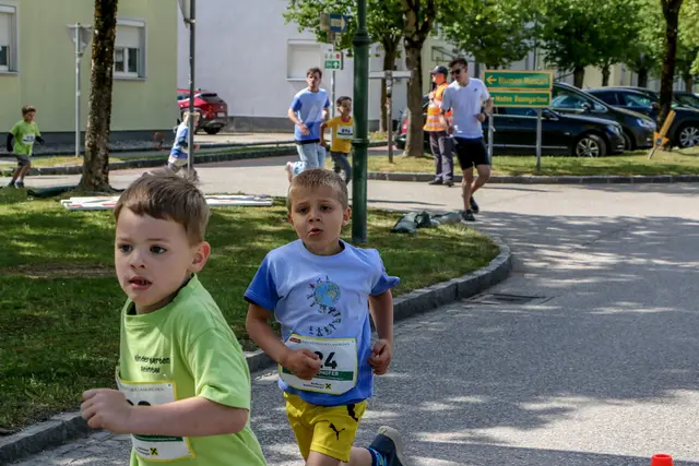Foto: Hans Feitzinger