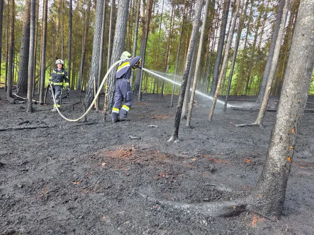 Löscharbeiten bei Waldbrand in Tschechien | Foto: FF Karlstein