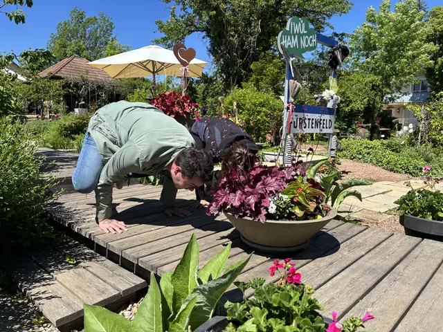 Die "Krähen" im Garten. Die Krähe ist eine Yoga-Pose welche viel Kraft in Armen, Schultern und Rumpf benötigt, sowie auch viel Gleichgewicht fordert. | Foto: Johann Taucher