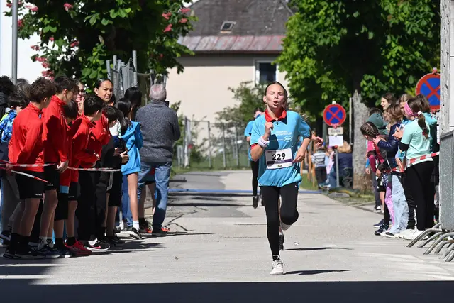 Foto: Wolfgang Spitzbart